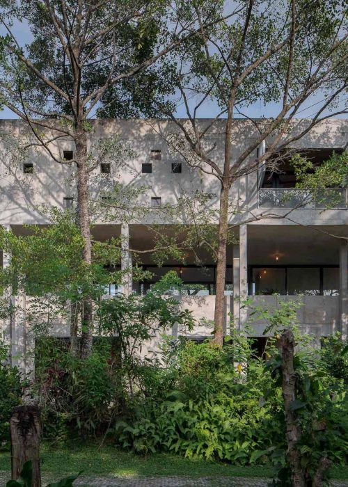 Bigtree Small Plants Architect Pulasthi Wijekoon DG5 Sri Lanka